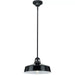 Progress Lighting 94550116031 Cedar Springs 1 Light 100W Outdoor Pendant Medium Base Black (P550116-031)