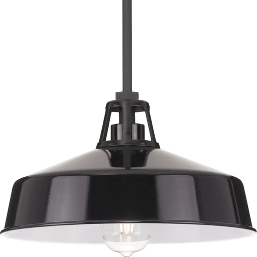 Progress Lighting 94550116031 Cedar Springs 1 Light 100W Outdoor Pendant Medium Base Black (P550116-031)