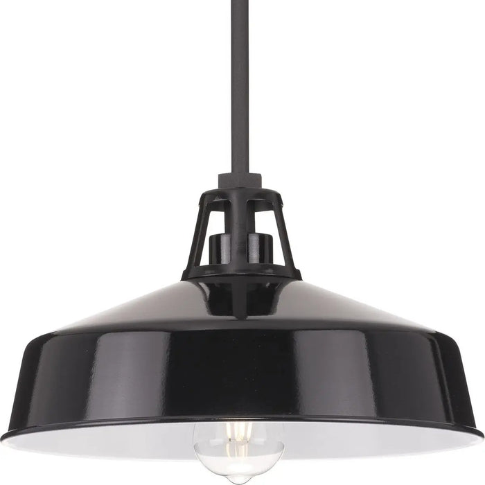 Progress Lighting 94550116031 Cedar Springs 1 Light 100W Outdoor Pendant Medium Base Black (P550116-031)