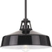 Progress Lighting 94550116031 Cedar Springs 1 Light 100W Outdoor Pendant Medium Base Black (P550116-031)
