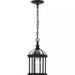 Progress Lighting 94550122020 Dillard 1 60W Outdoor Hanging Lantern Medium Base Antique Bronze (P550122-020)