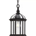 Progress Lighting 94550122020 Dillard 1 60W Outdoor Hanging Lantern Medium Base Antique Bronze (P550122-020)