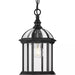 Progress Lighting 94550122031 Dillard 1 60W Outdoor Hanging Lantern Medium Base Black (P550122-031)