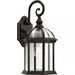 Progress Lighting 94560322020 Dillard 1 Light 60W Outdoor Lantern Medium Base Antique Bronze (P560322-020)