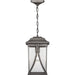 Progress Lighting Abbott Collection One-Light Hanging Lantern (P550040-103)