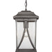 Progress Lighting Abbott Collection One-Light Hanging Lantern (P550040-103)