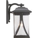 Progress Lighting Abbott Collection One-Light Large Wall Lantern (P560115-020)