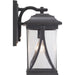 Progress Lighting Abbott Collection One-Light Medium Wall Lantern (P560114-020)