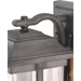Progress Lighting Abbott Collection One-Light Medium Wall Lantern (P560114-103)