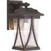 Progress Lighting Abbott Collection One-Light Small Wall Lantern (P560113-020)