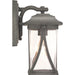 Progress Lighting Abbott Collection One-Light Small Wall Lantern (P560113-103)