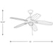 Progress Lighting AirPro Collection 54 Inch Five-Blade Indoor/Outdoor Ceiling Fan (P2533-20)