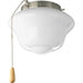 Progress Lighting AirPro Collection One-Light Ceiling Fan Light 3000K (P2644-09WB)