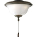 Progress Lighting AirPro Collection Two-Light Indoor/Outdoor Ceiling Fan Light 3000K (P2636-20WB)