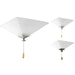 Progress Lighting AirPro Universal Two-Light Ceiling Fan Light 3000K (P2654-01WB)