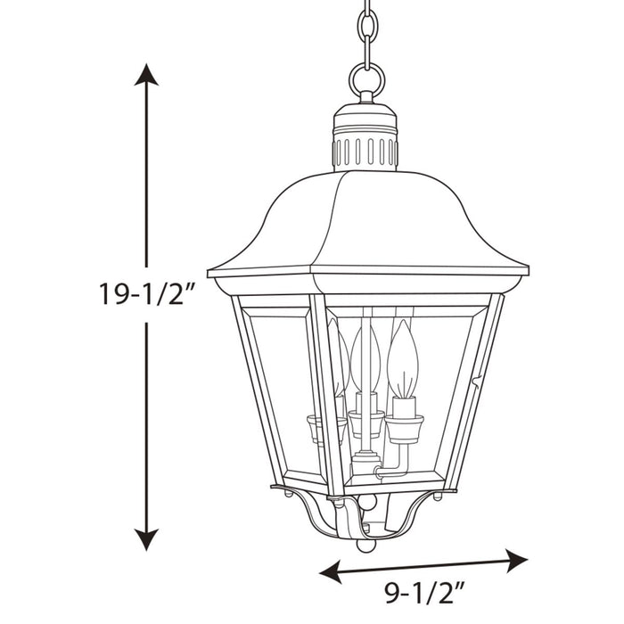 Progress Lighting Andover Collection Three-Light Hanging Lantern (P5587-20)