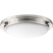 Progress Lighting Apogee Collection 15 Inch LED Flush Mount 3000K (P350070-009-30)
