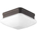 Progress Lighting Appeal Collection One-Light 7-1/2 Inch Flush Mount (P3991-20)