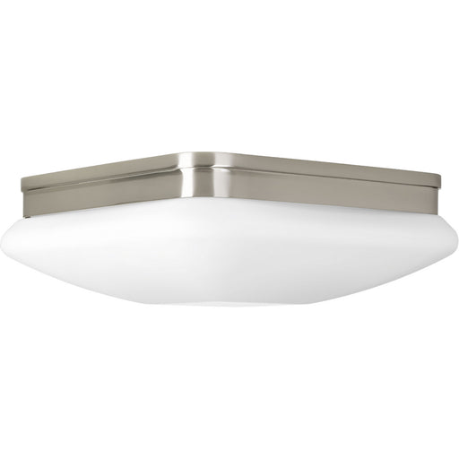 Progress Lighting Appeal Collection Two-Light 11 Inch Flush Mount (P3511-09)