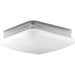 Progress Lighting Appeal Collection Two-Light 11 Inch Flush Mount (P3511-15)