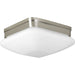 Progress Lighting Appeal Collection Two-Light 9 Inch Flush Mount (P3549-09)