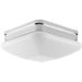 Progress Lighting Appeal Collection Two-Light 9 Inch Flush Mount (P3549-15)