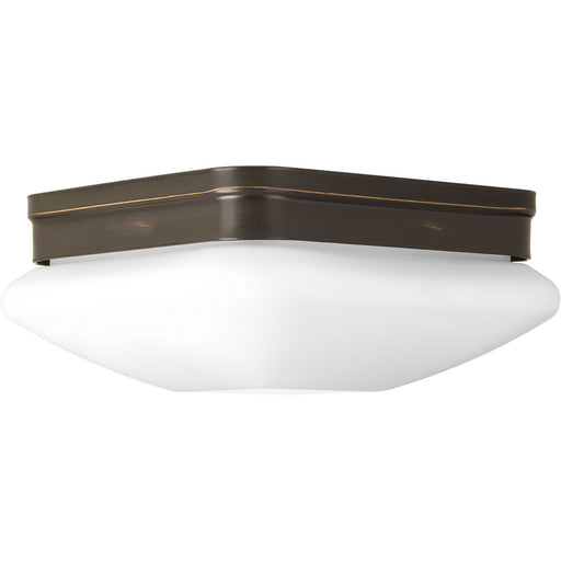 Progress Lighting Appeal Collection Two-Light 9 Inch Flush Mount (P3549-20)