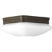 Progress Lighting Appeal Collection Two-Light 9 Inch Flush Mount (P3549-20)