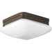 Progress Lighting Appeal Collection Two-Light 9 Inch Flush Mount (P3549-20)