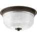 Progress Lighting Archie Collection Two-Light 12-3/8 Inch Close-To-Ceiling (P3740-74)