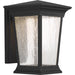 Progress Lighting Arrive Collection One-Light Medium Wall Lantern 3000K (P6068-3130K9)