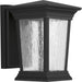 Progress Lighting Arrive Collection One-Light Small Wall Lantern 3000K (P6067-3130K9)