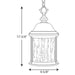 Progress Lighting Ashmore Collection Three-Light Hanging Lantern (P5550-20)