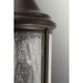 Progress Lighting Ashmore Collection Three-Light Wall Lantern (P5651-20)