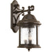 Progress Lighting Ashmore Collection Three-Light Wall Lantern (P5651-20)