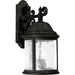 Progress Lighting Ashmore Collection Three-Light Wall Lantern (P5651-31)