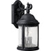 Progress Lighting Ashmore Collection Two-Light Wall Lantern (P5649-31)