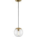 Progress Lighting Atwell Collection 1 Light 60W Medium Base Pendant Fixture (P500309-109)