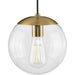 Progress Lighting Atwell Collection 1 Light 60W Medium Base Pendant Fixture (P500309-109)