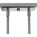 Progress Lighting Atwell Collection Brushed Nickel Two-Light Pendant (P500284-009)