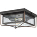 Progress Lighting Barlowe Collection 2 Light 60W Medium Base Flush Mount Fixture (P550069-020)
