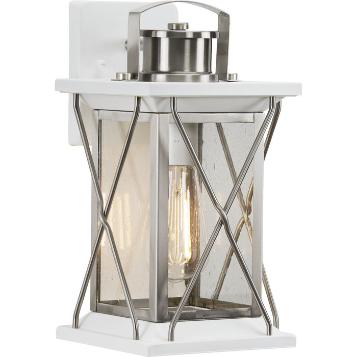Progress Lighting Barlowe Collection Stainless Steel One-Light Small Wall Lantern (P560156-135)