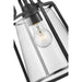 Progress Lighting Benton Harbor Collection One-Light Hanging Lantern With Durashield (P550065-031)