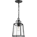 Progress Lighting Benton Harbor Collection One-Light Hanging Lantern With Durashield (P550065-031)