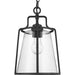 Progress Lighting Benton Harbor Collection One-Light Hanging Lantern With Durashield (P550065-031)