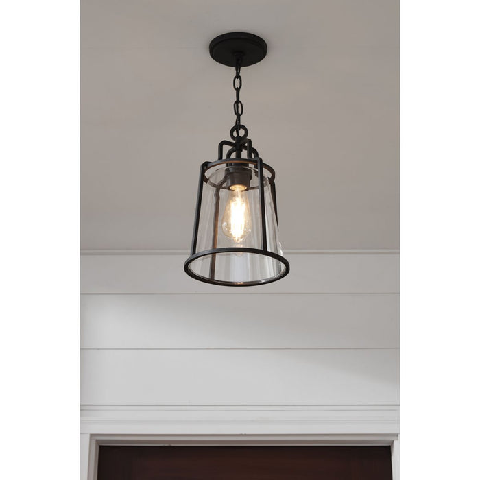 Progress Lighting Benton Harbor Collection One-Light Hanging Lantern With Durashield (P550065-031)