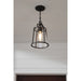 Progress Lighting Benton Harbor Collection One-Light Hanging Lantern With Durashield (P550065-031)