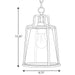 Progress Lighting Benton Harbor Collection One-Light Hanging Lantern With Durashield (P550065-031)