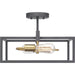 Progress Lighting Blakely Collection Two-Light Semi-Flush Convertible (P350120-143)