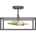 Progress Lighting Blakely Collection Two-Light Semi-Flush Convertible (P350120-143)
